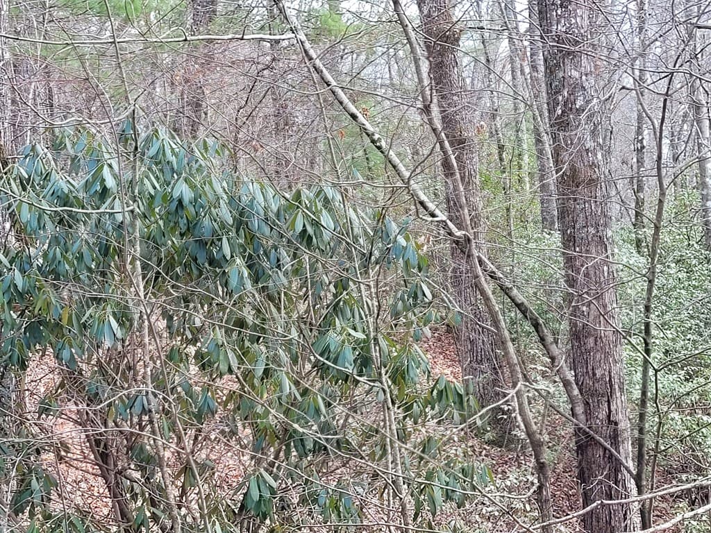 Lot 49 Slate Stone Lane, Hayesville NC 28904 - Photo