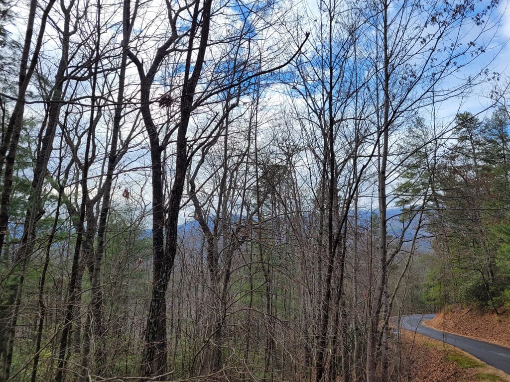 Lot 49 Slate Stone Lane, Hayesville NC 28904 - Photo