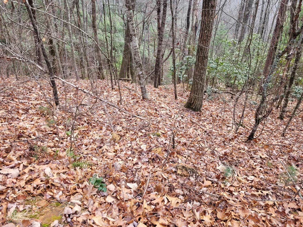 Lot 49 Slate Stone Lane, Hayesville NC 28904 - Photo