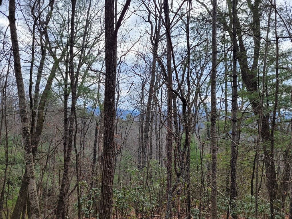 Lot 49 Slate Stone Lane, Hayesville NC 28904 - Photo