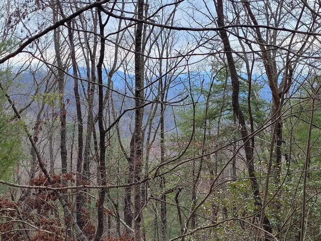 Lot 49 Slate Stone Lane, Hayesville NC 28904 - Photo