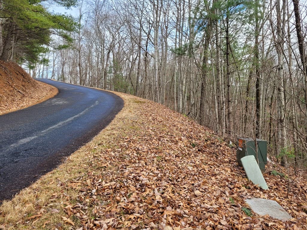 Lot 49 Slate Stone Lane, Hayesville NC 28904 - Photo