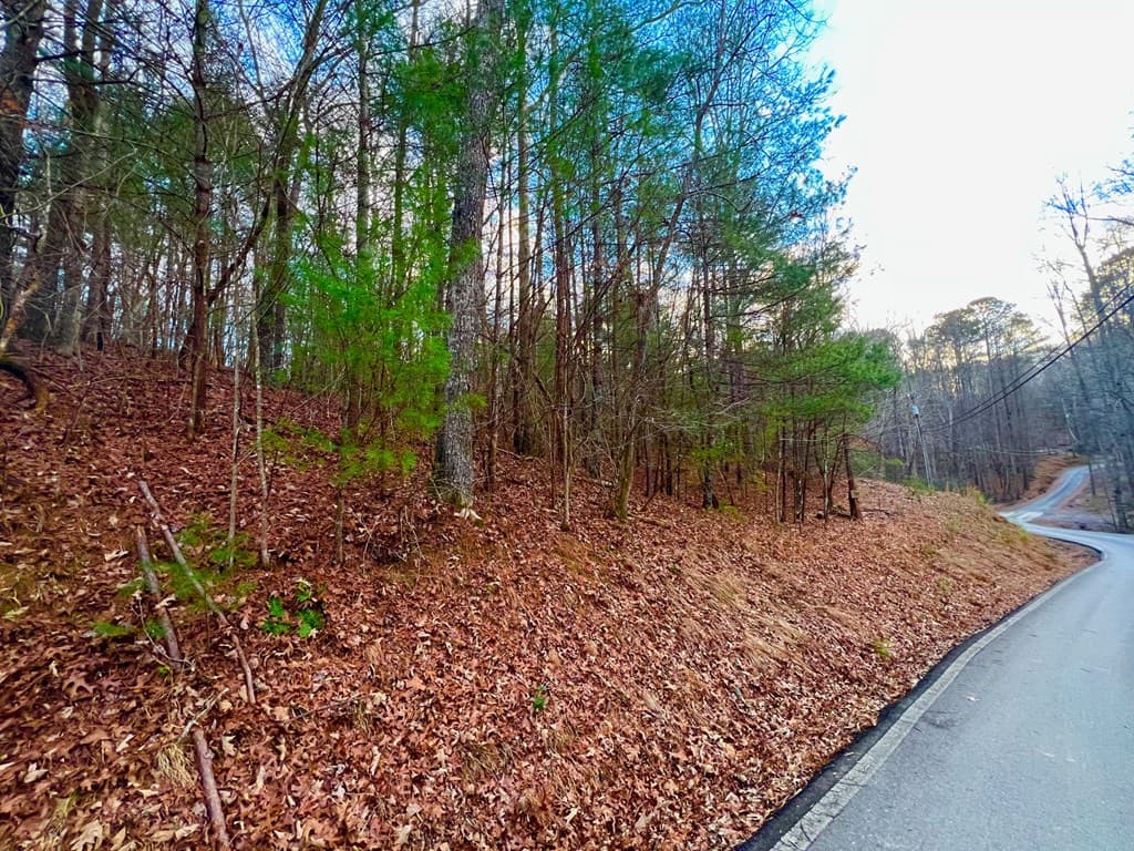 914 Villa Drive, Ellijay GA 30540 - Photo