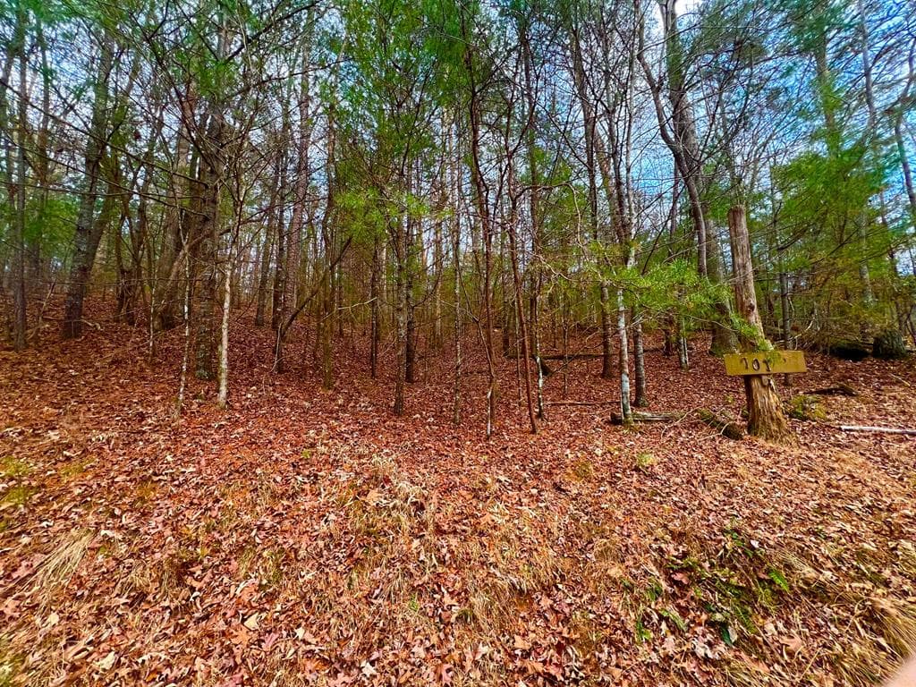 914 Villa Drive, Ellijay GA 30540 - Photo