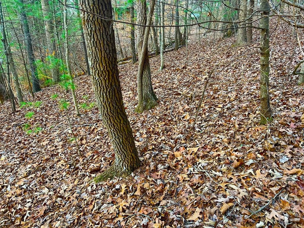 914 Villa Drive, Ellijay GA 30540 - Photo