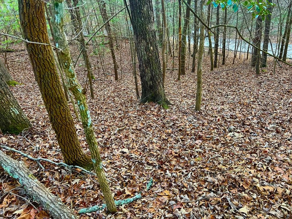 914 Villa Drive, Ellijay GA 30540 - Photo