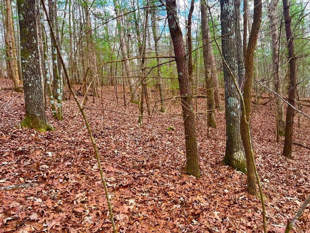 914 Villa Drive, Ellijay GA 30540 - Photo