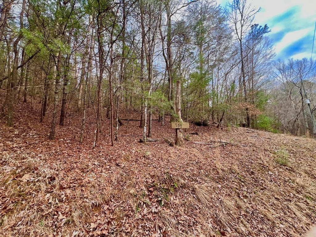 914 Villa Drive, Ellijay GA 30540 - Photo