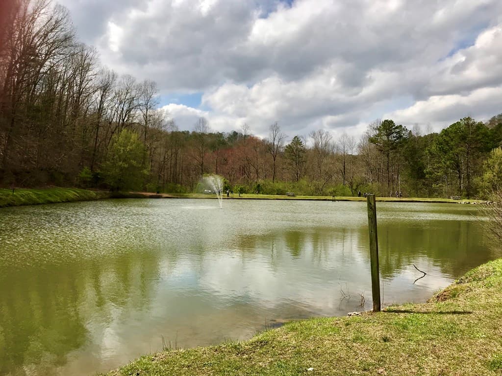 914 Villa Drive, Ellijay GA 30540 - Photo