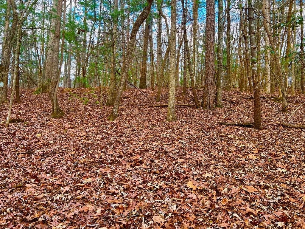 914 Villa Drive, Ellijay GA 30540 - Primary photo