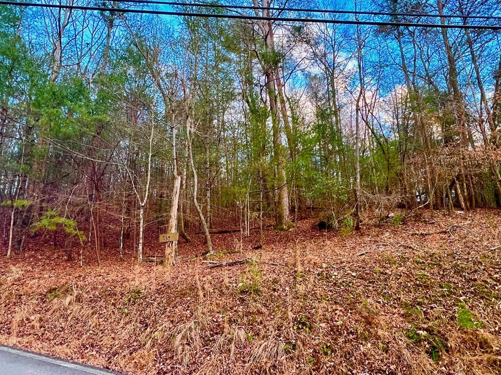 914 Villa Drive, Ellijay GA 30540 - Photo