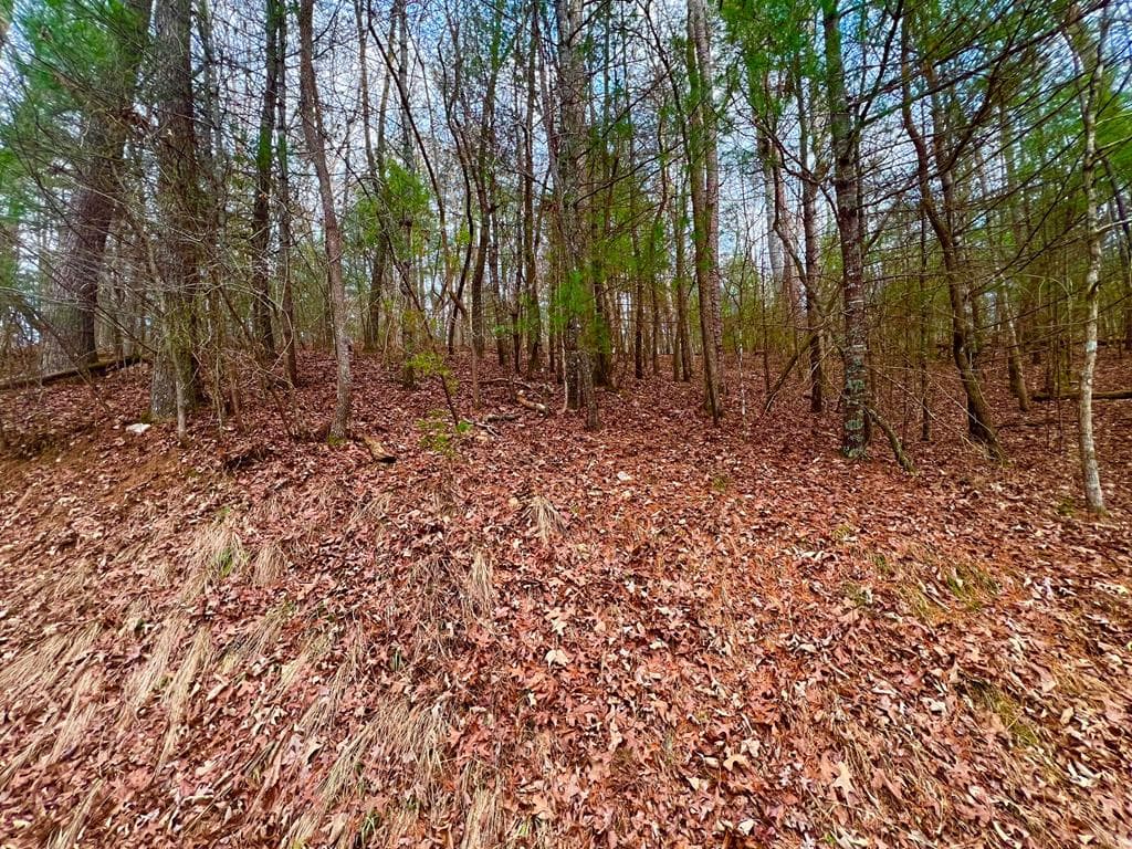 914 Villa Drive, Ellijay GA 30540 - Photo