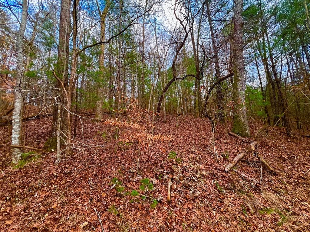 914 Villa Drive, Ellijay GA 30540 - Photo