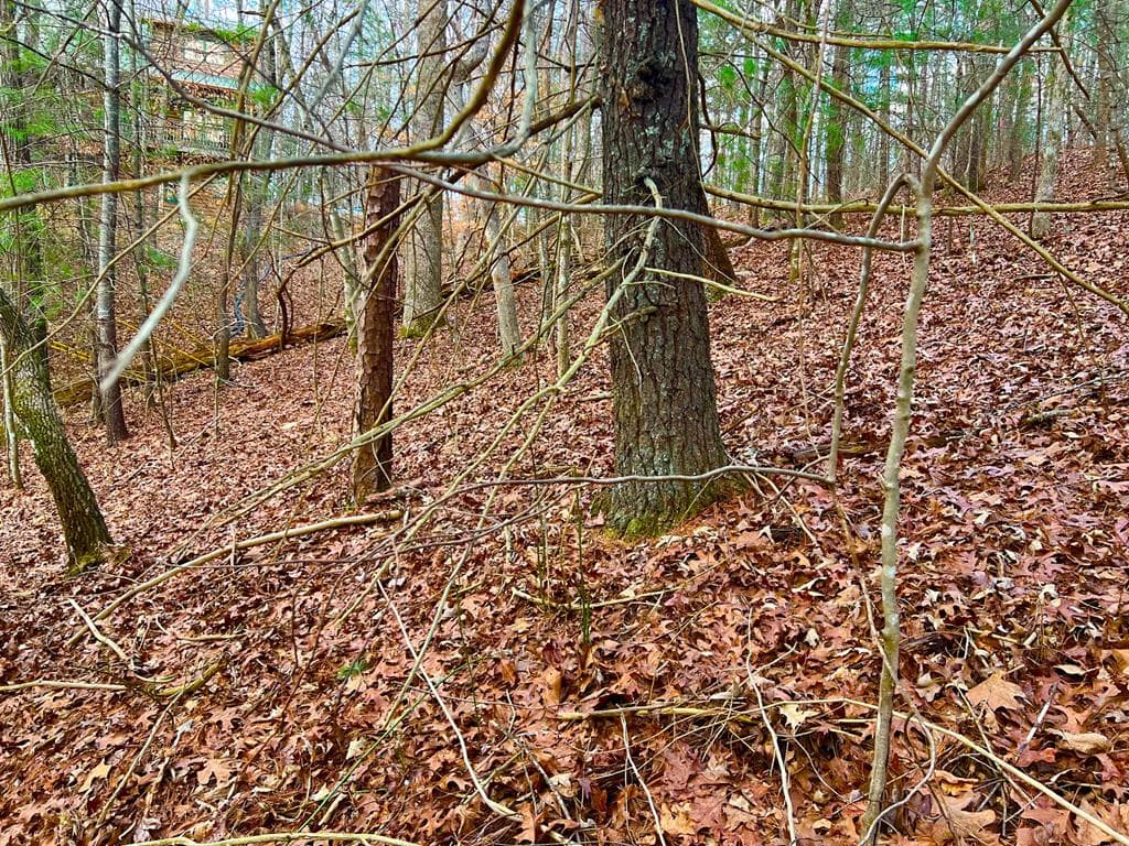 914 Villa Drive, Ellijay GA 30540 - Photo