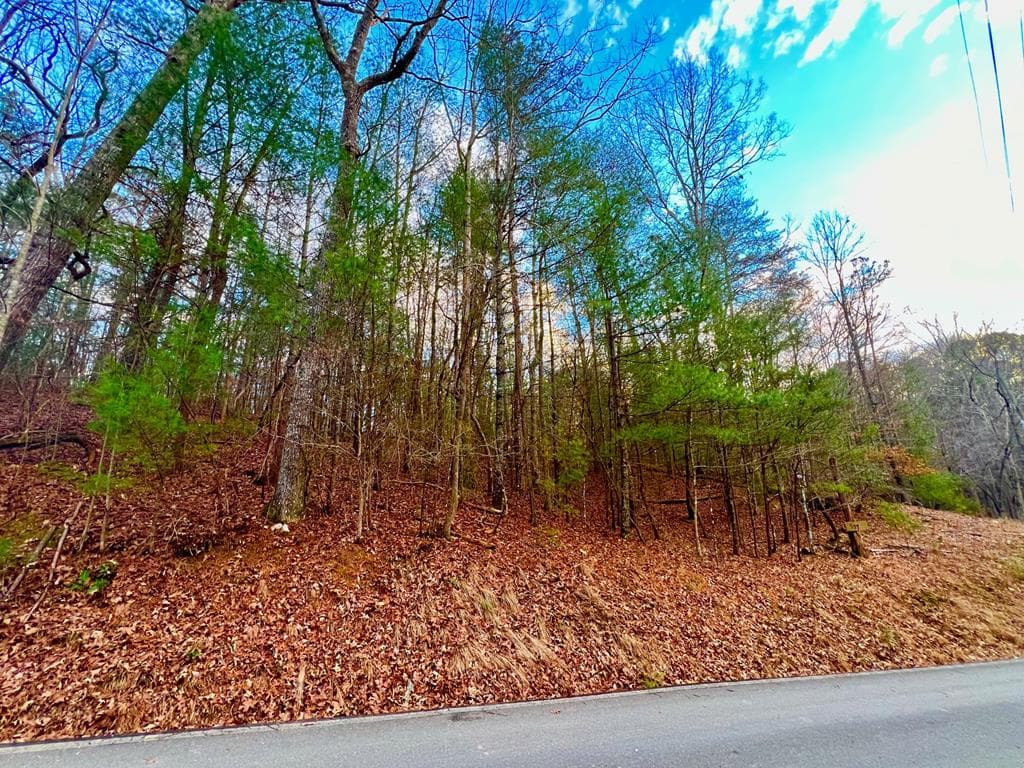 914 Villa Drive, Ellijay GA 30540 - Photo