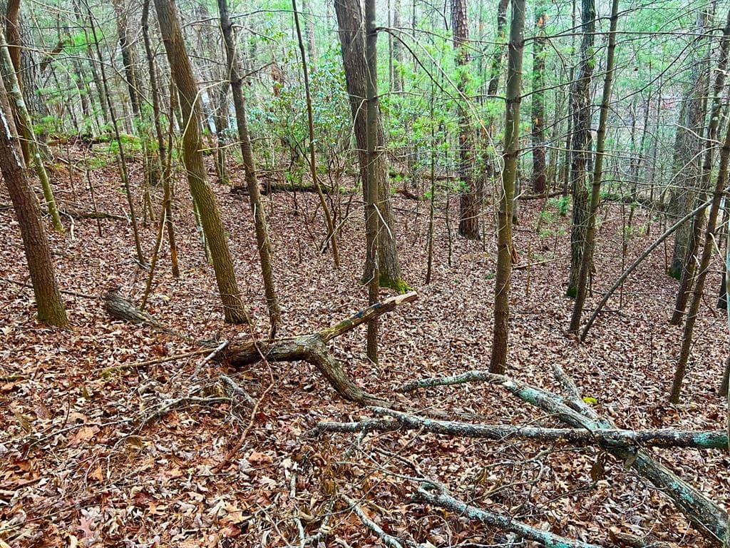 914 Villa Drive, Ellijay GA 30540 - Photo
