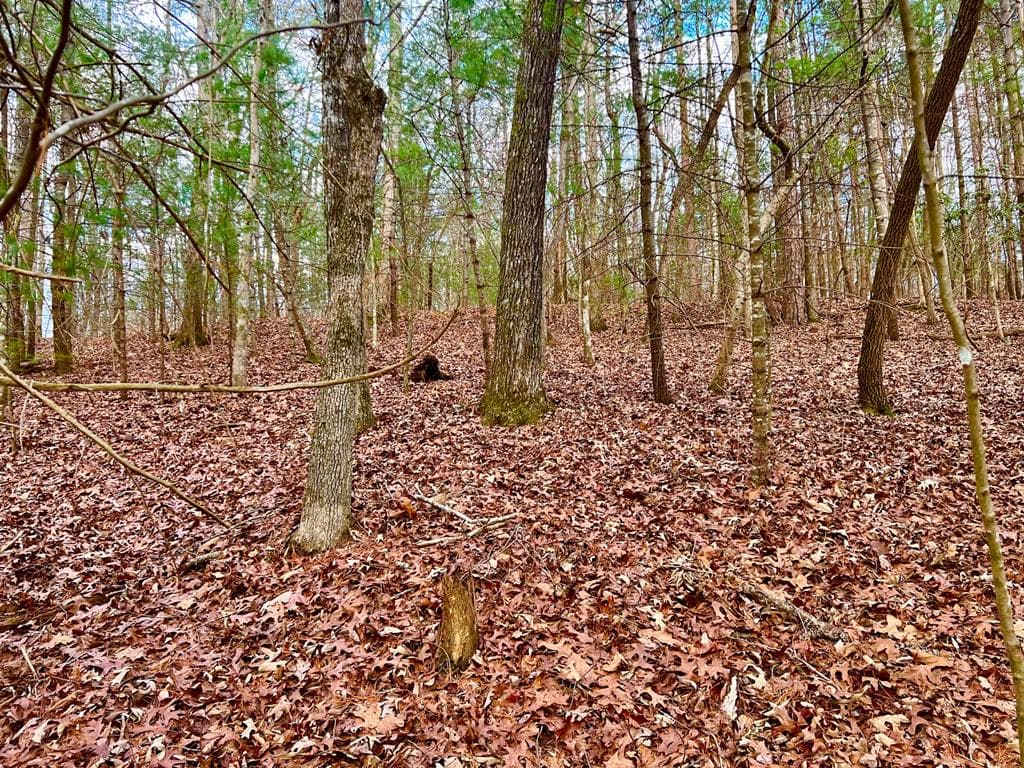 914 Villa Drive, Ellijay GA 30540 - Photo
