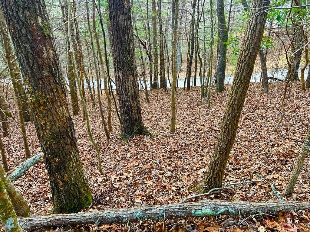 914 Villa Drive, Ellijay GA 30540 - Photo