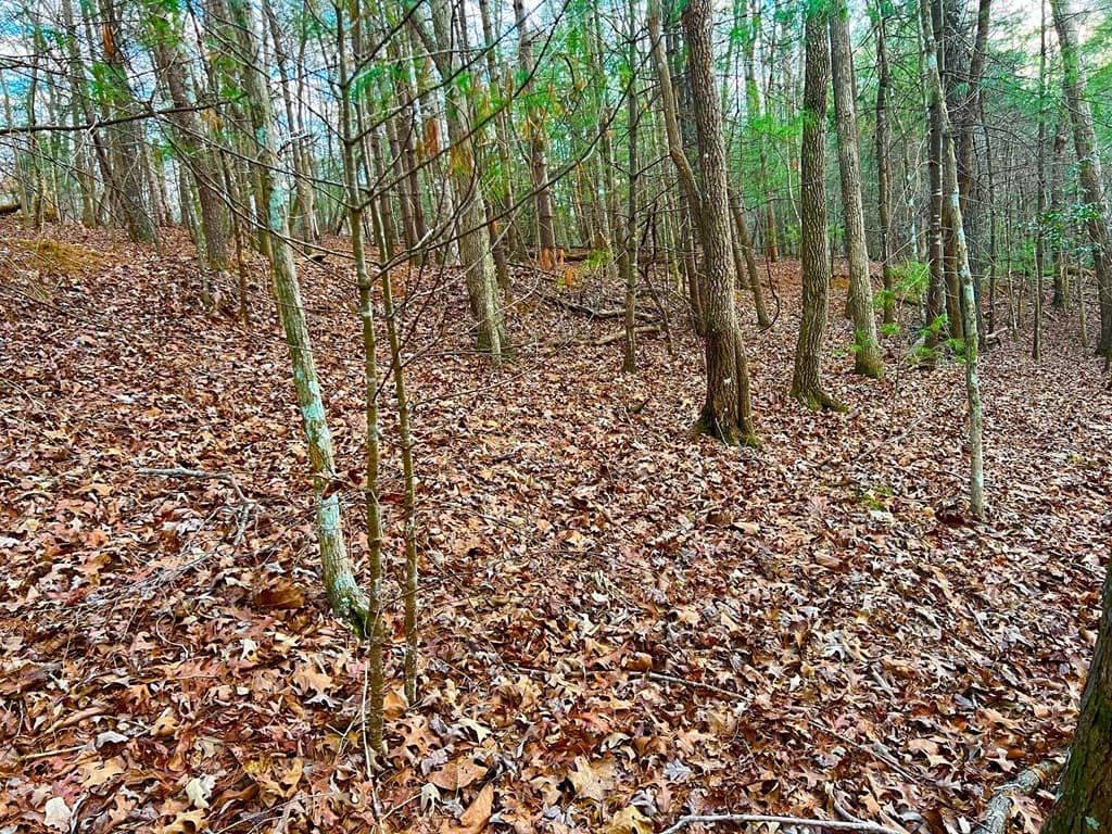914 Villa Drive, Ellijay GA 30540 - Photo