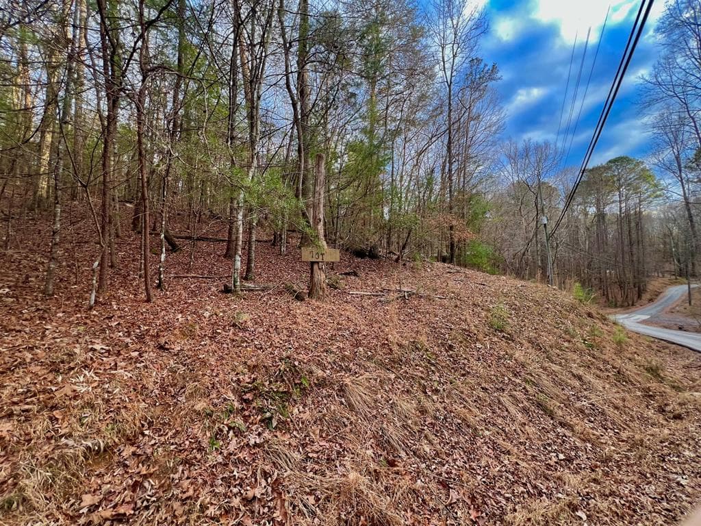 914 Villa Drive, Ellijay GA 30540 - Photo
