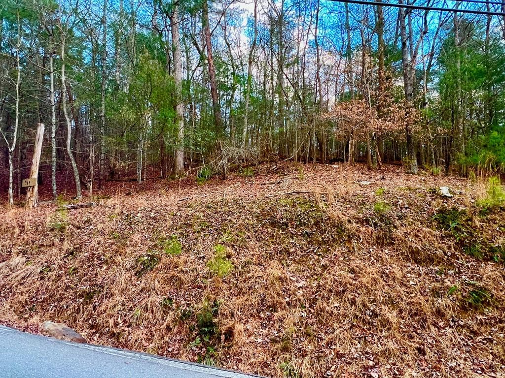 914 Villa Drive, Ellijay GA 30540 - Photo