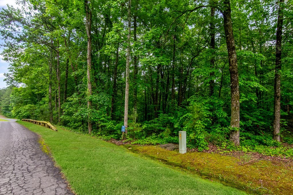 Lot 44 Harris Creek Drive, Ellijay GA 30540 - Photo
