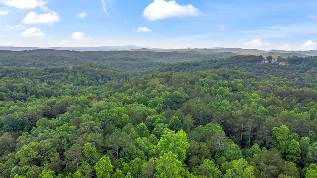 Lot 44 Harris Creek Drive, Ellijay GA 30540 - Photo