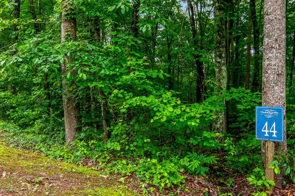Lot 44 Harris Creek Drive, Ellijay GA 30540 - Primary photo