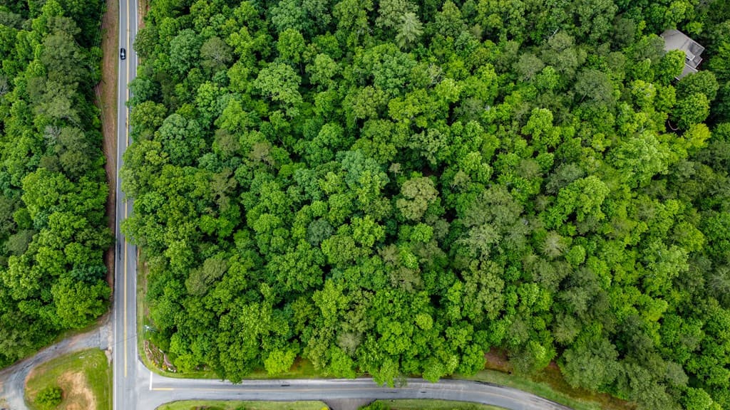 Lot 44 Harris Creek Drive, Ellijay GA 30540 - Photo