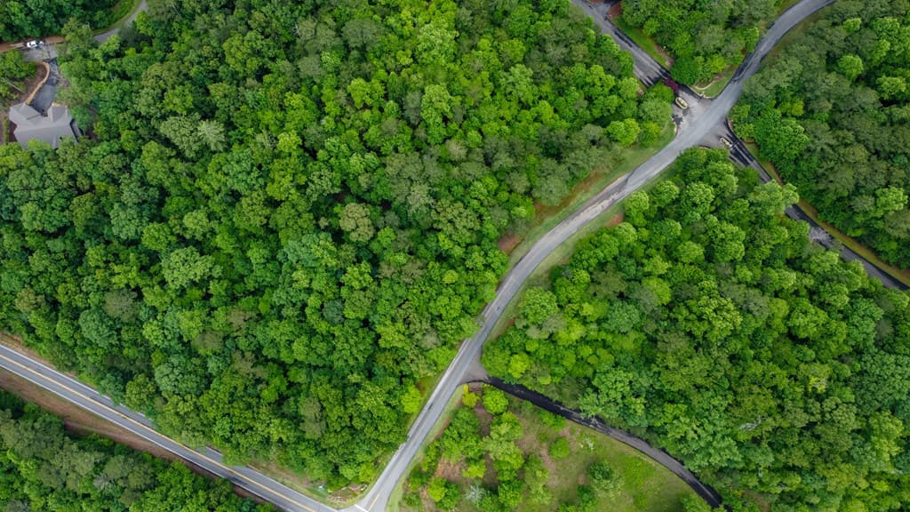 Lot 44 Harris Creek Drive, Ellijay GA 30540 - Photo