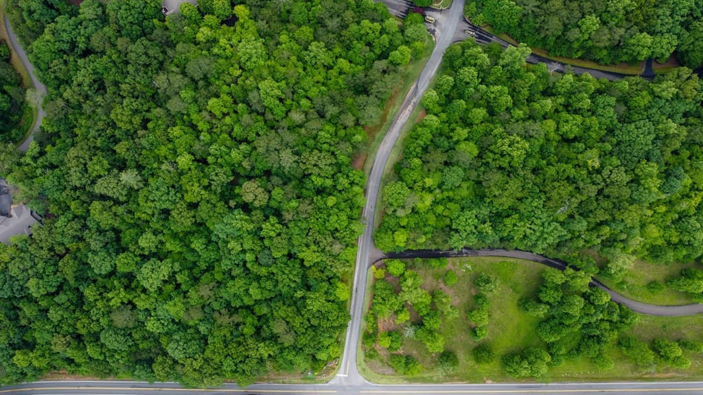 Lot 44 Harris Creek Drive, Ellijay GA 30540 - Photo