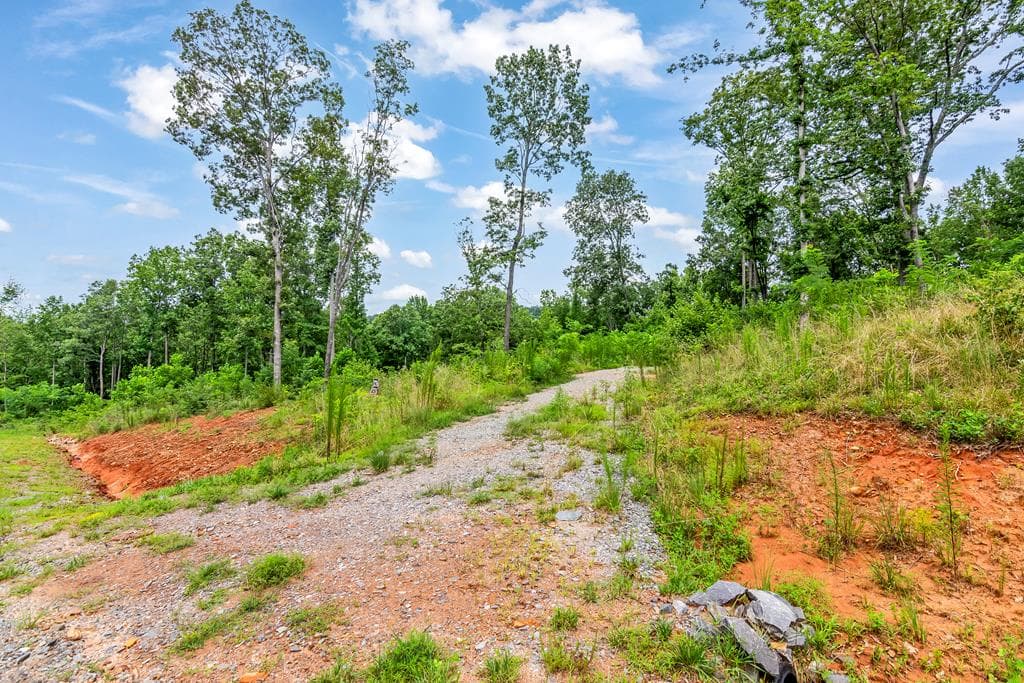 1084 Highgrove Drive, Talking Rock GA 30175 - Photo