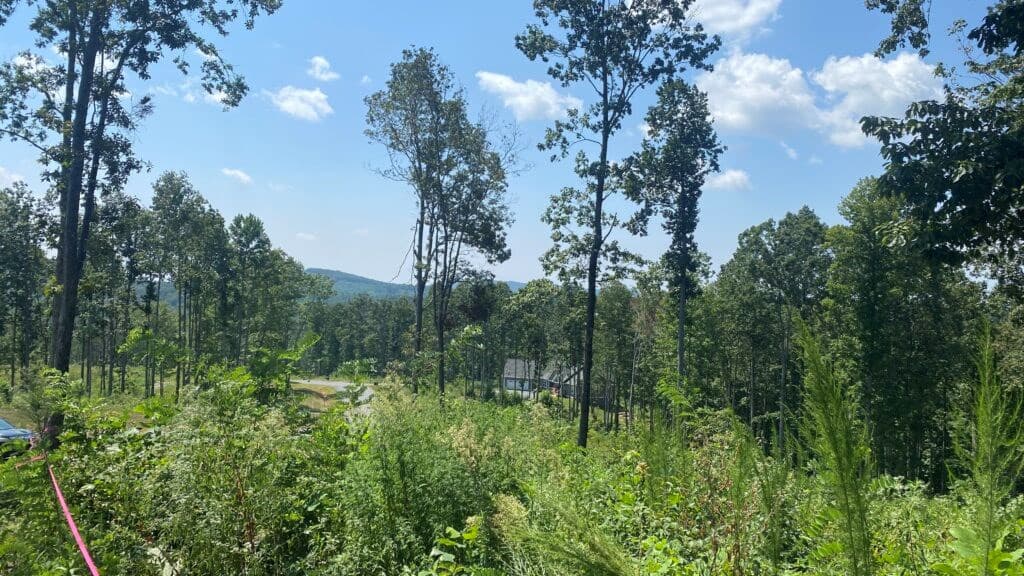1084 Highgrove Drive, Talking Rock GA 30175 - Photo