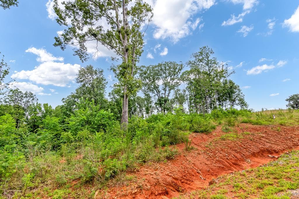 1084 Highgrove Drive, Talking Rock GA 30175 - Photo