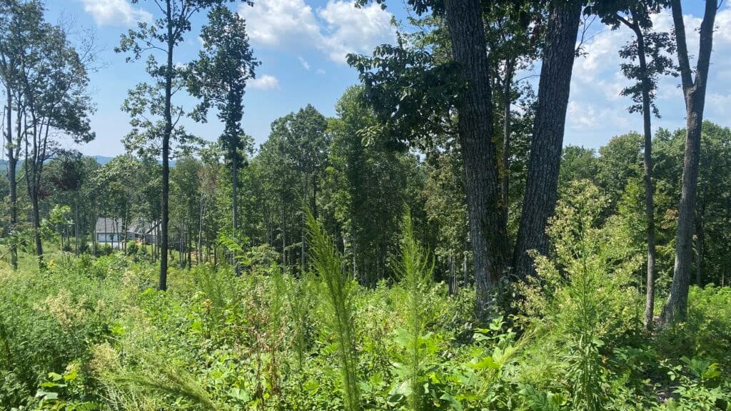 1084 Highgrove Drive, Talking Rock GA 30175 - Photo