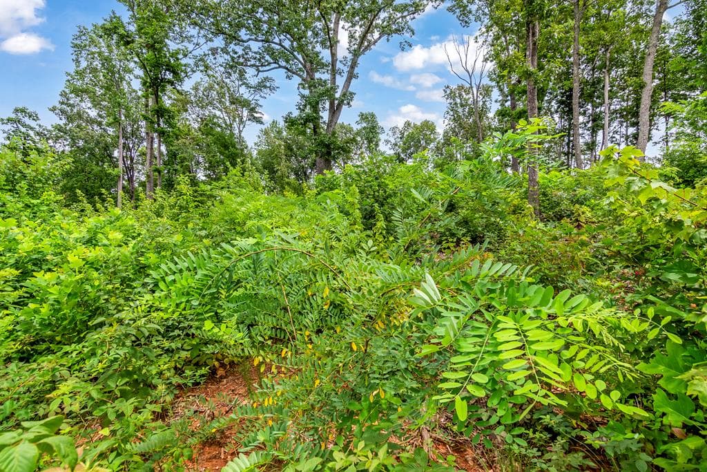 1084 Highgrove Drive, Talking Rock GA 30175 - Photo