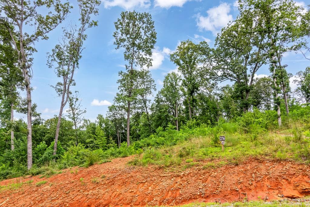 1084 Highgrove Drive, Talking Rock GA 30175 - Photo