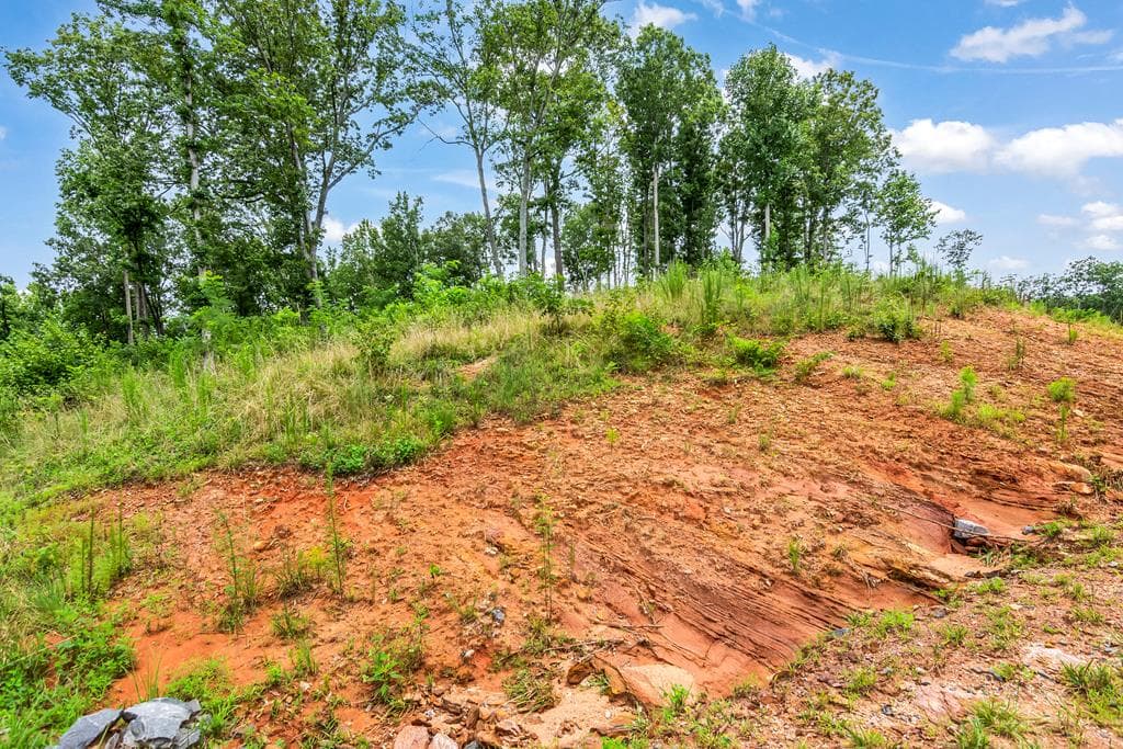 1084 Highgrove Drive, Talking Rock GA 30175 - Photo