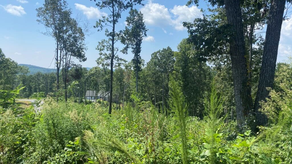 1084 Highgrove Drive, Talking Rock GA 30175 - Photo