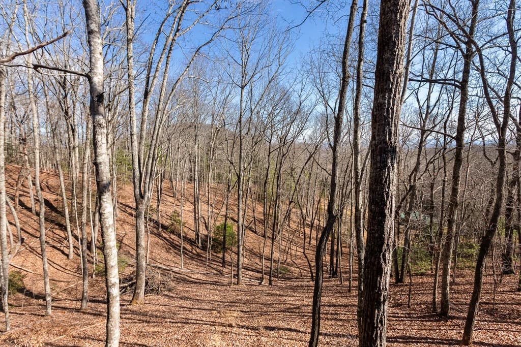 87 Tuscarora Trail, Murphy NC 28906 - Photo