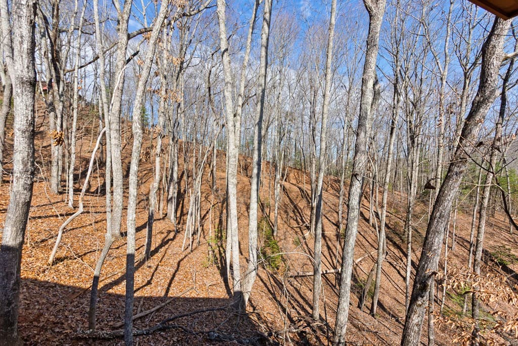87 Tuscarora Trail, Murphy NC 28906 - Photo