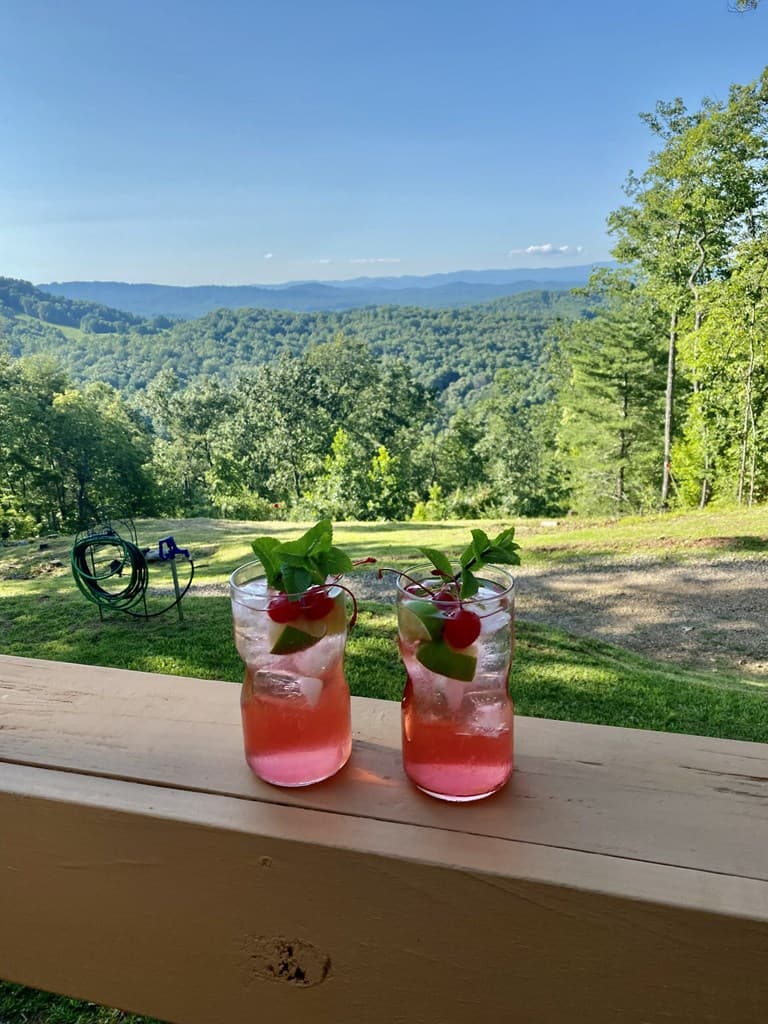 416 Autumn Hills Drive, Blairsville GA 30560 - Photo