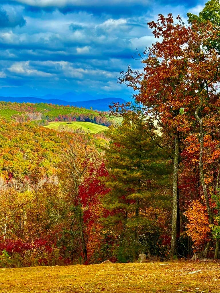 416 Autumn Hills Drive, Blairsville GA 30560 - Photo