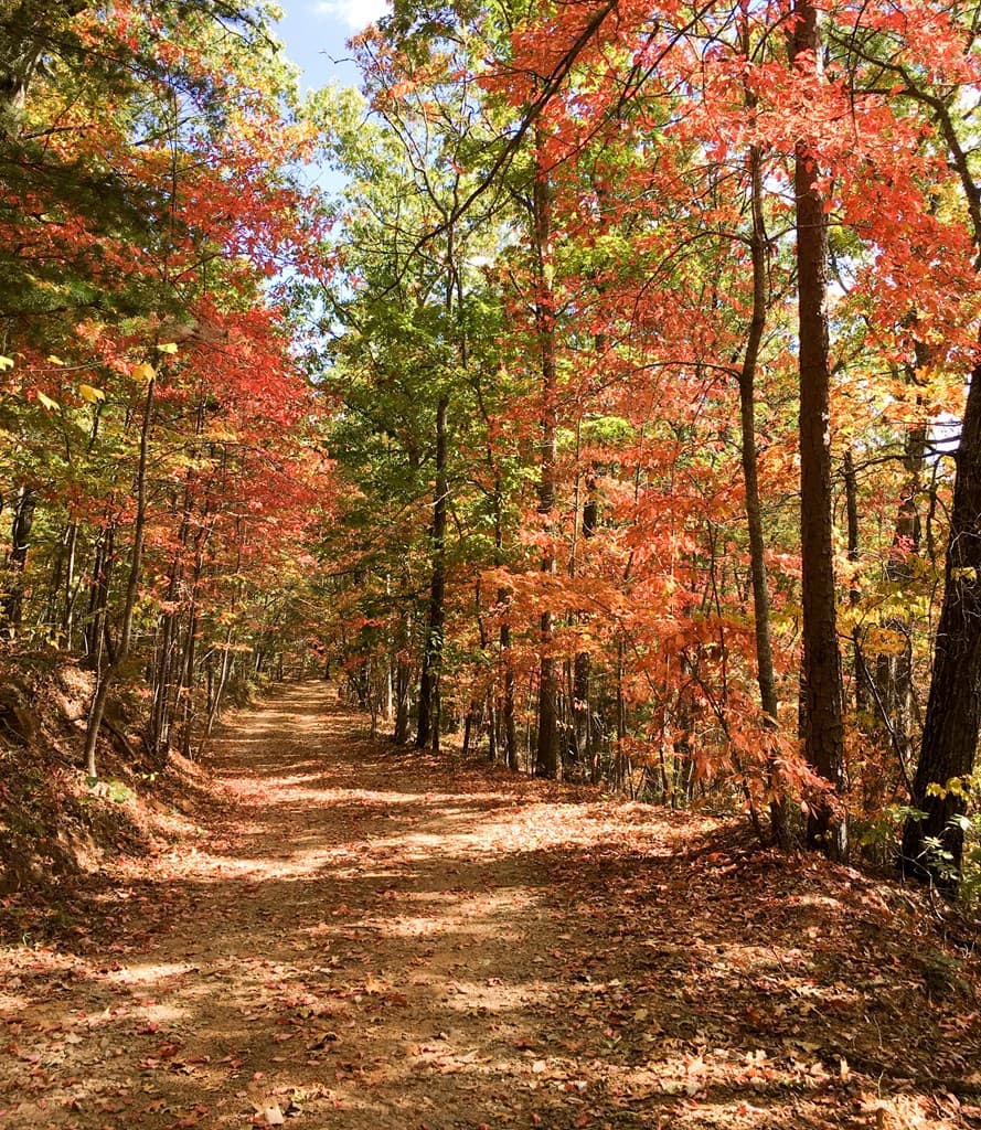 416 Autumn Hills Drive, Blairsville GA 30560 - Photo
