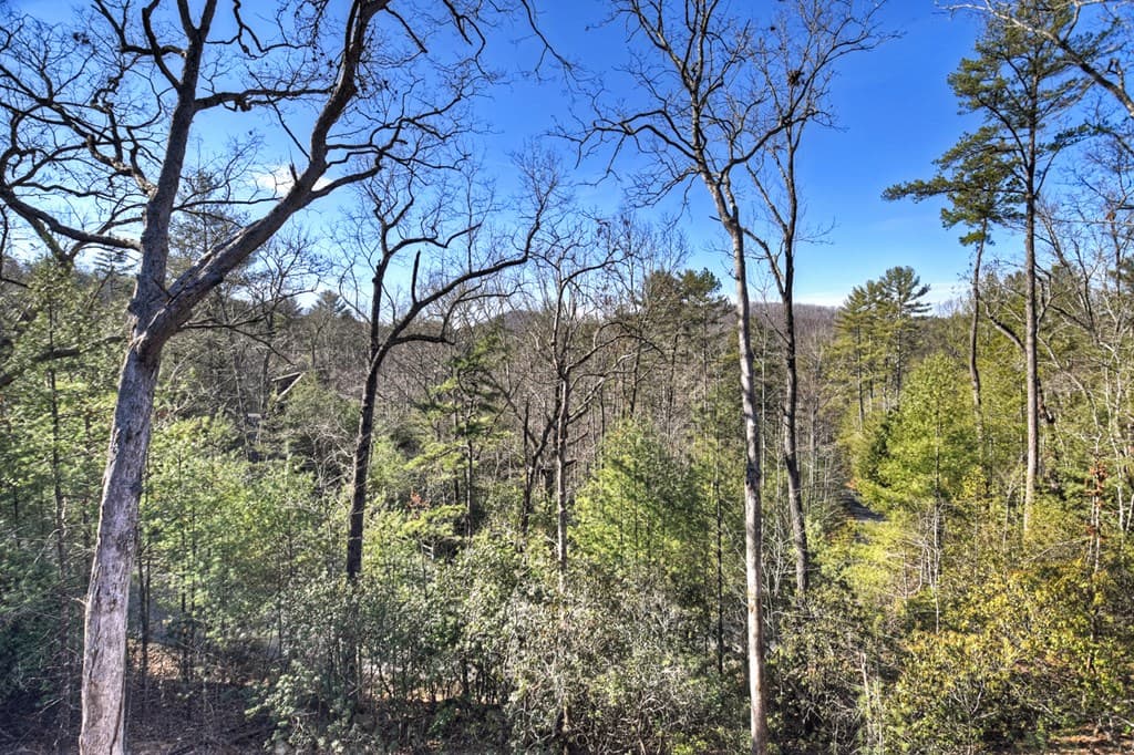 238 Hooch Holler Lane, Morganton GA 30560 - Photo