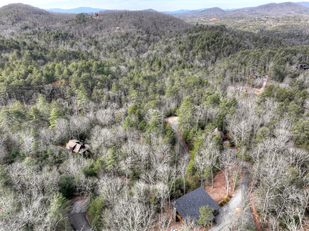 238 Hooch Holler Lane, Morganton GA 30560 - Photo