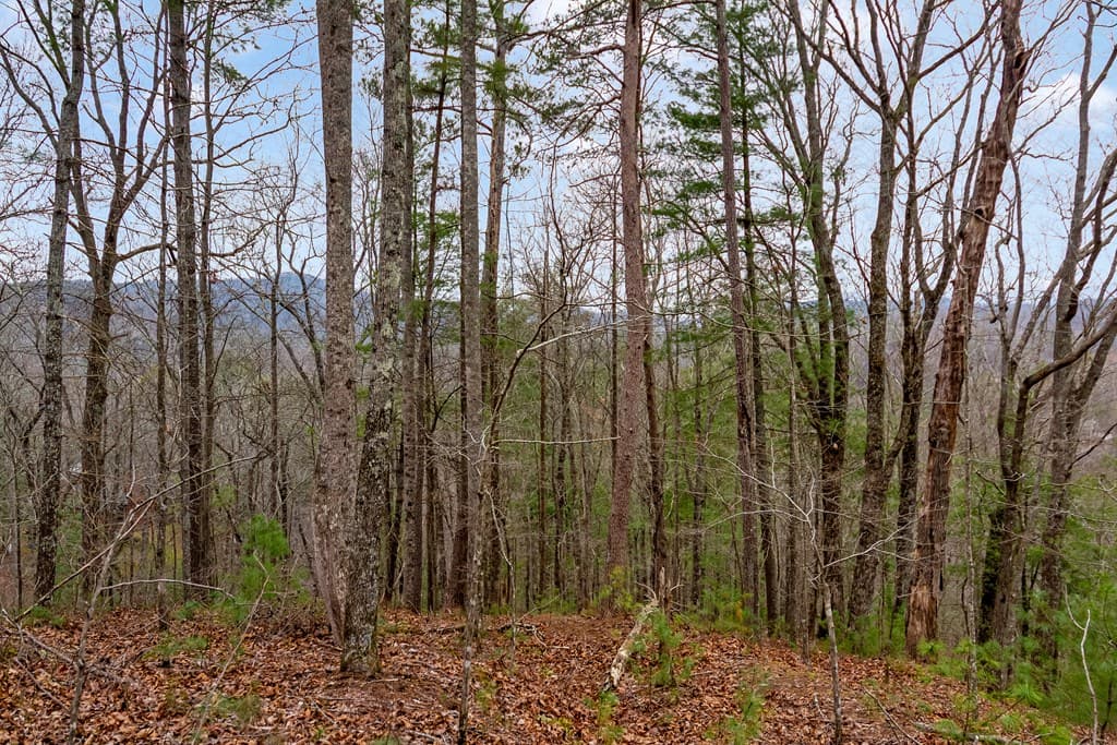 lot 1694 Shade Tree Drive, Talking Rock GA 30175 - Photo