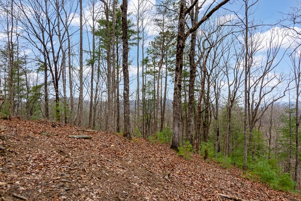 lot 1694 Shade Tree Drive, Talking Rock GA 30175 - Photo