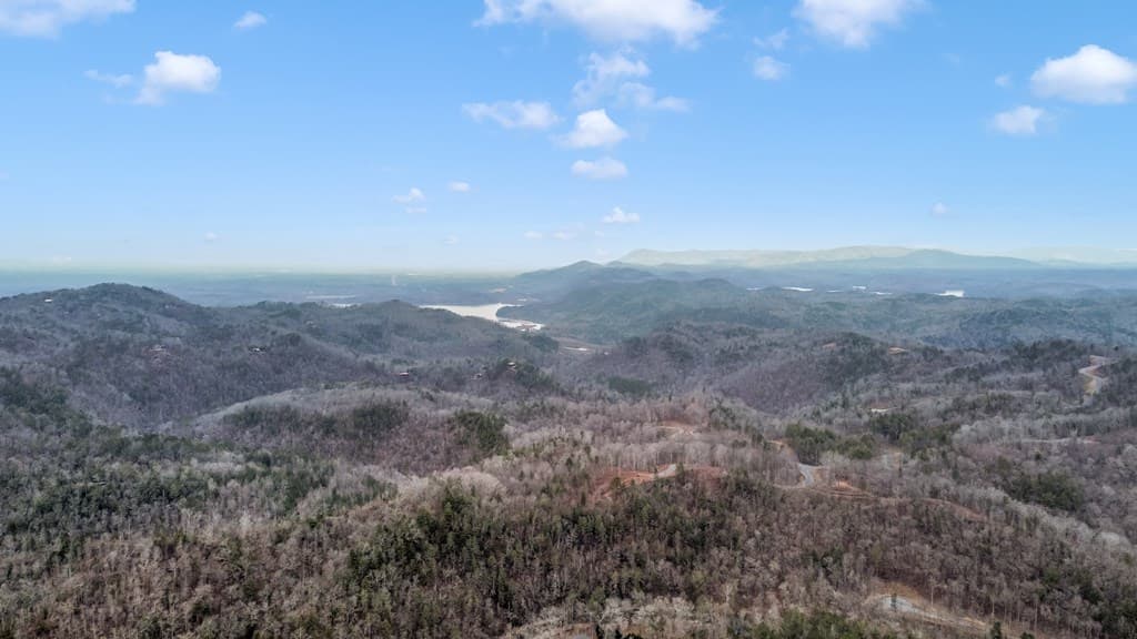 lot 1694 Shade Tree Drive, Talking Rock GA 30175 - Photo