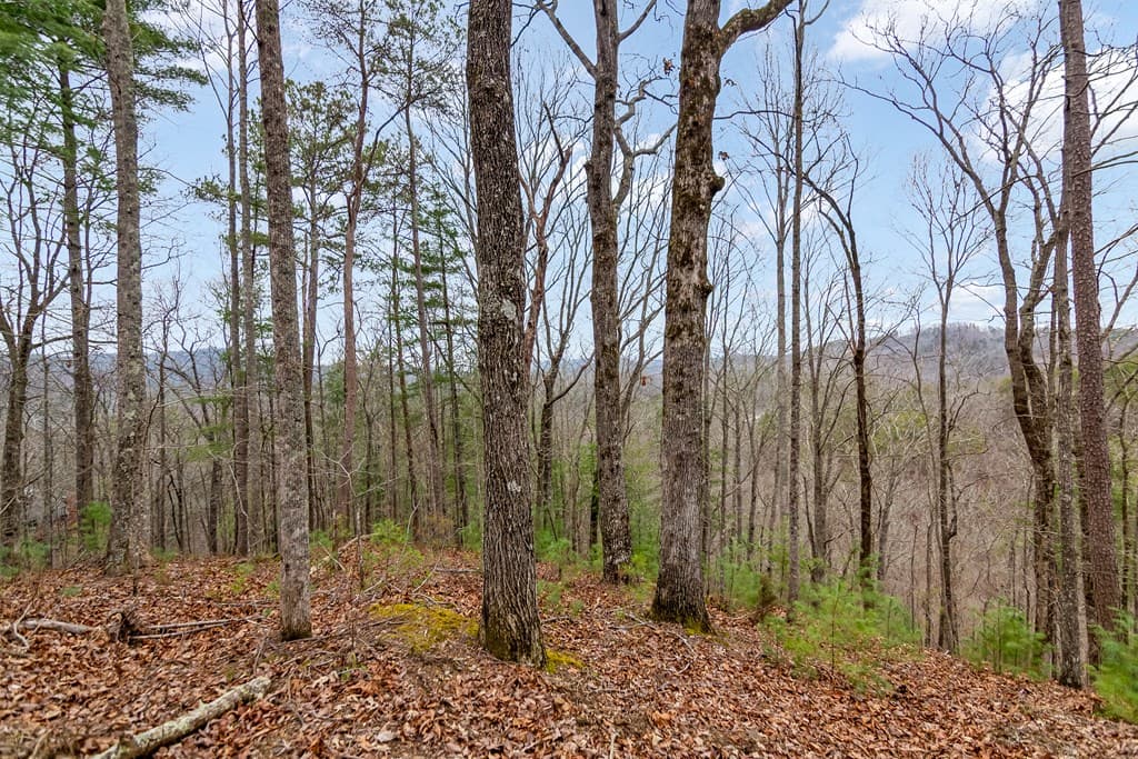 lot 1694 Shade Tree Drive, Talking Rock GA 30175 - Photo